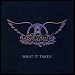 Aerosmith - "What It Takes" (Single)