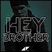 Avicii - "Hey Brother" (Single)