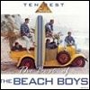 The Beach Boys - 'The Best Of The Beach Boys'