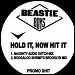 The Beastie Boys - "Hold It Now Hit It" (Single)
