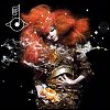 Bjork - 'Biophilia'