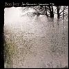 Bon Iver - 'For Emma, Forever Ago'