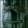 Bon Jovi - Slippery When Wet