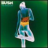 Bush - 'The Kingdom'