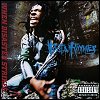 Busta Rhymes - When Disaster Strikes