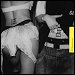 Charli XCX featuring Billie Eilish - "Guess" (Single)