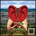 Clean Bandit featuring Zara Larsson - "Symphony" (Single)