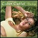 Colbie Caillat - "Realize" (Single)