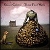 Shawn Colvin - These Four Walls