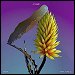 Flume featuring Tove Lo - "Say It" (Single)