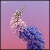 Flume - 'Skin'