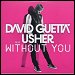 David Guetta featuring Usher - "Without You" (Single)