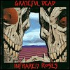 Grateful Dead - Infrared Roses