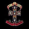 Guns N' Roses - Appetite For Destruction