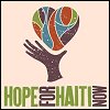 'Hope For Haiti Now' telethon compilation