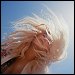 Kesha featuring The Dap-Kings - "Woman" (Single)
