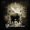 Korn - Take A Look In The Mirror