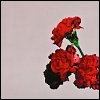 John Legend - 'Love In The Future'