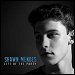 Shawn Mendes - "Life Of The Party" (Single)