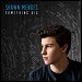 Shawn Mendes - "Something Big" (Single)