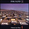 Pink Floyd - A Momentary Lapse Of Reason