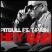 Pitbull featuring T-Pain - "Hey Baby (Drop It To The Floor)" (Single)