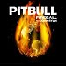 Pitbull featuring John Ryan - "Fireball" (Single)