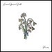 Lauren Spencer-Smith - "Flowers" (Single)
