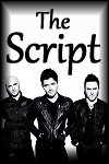 The Script Info Page