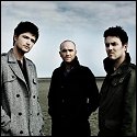 The Script