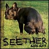 Seether - 'Seether: 2002-2013'