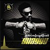 Shaggy - Intoxication