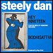 Steely Dan - "Hey Nineteen" (Single)