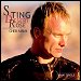 Sting - "Desert Rose" (Single)