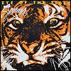 Survivor - Eye Of The Tiger