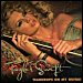 Taylor Swift - "Teardrops On My Guitar" (Single)