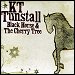 K.T. Tunstall - "Black Horse & The Cherry Tree" (Single)