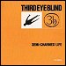 Third Eye Blind - "Semi-Charmed Life" (Single)