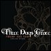 Three Days Grace - "Never Too Late" (Single)