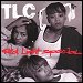 TLC - "Red Light Special" (Single)
