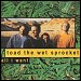 Toad The Wet Sprocket - "All I Want" (Single)