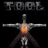 Tool - Salival