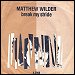 Matthew Wilder - "Break My Stride" (Single)  