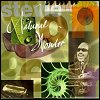 Stevie Wonder - Natural Wonder (live)