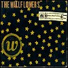 The Wallflowers - Bringing Down The Horse