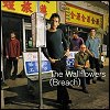 The Wallflowers - "Sleepwalker" from the LP 'Breach'