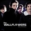 Wallflowers - Red Letter Days