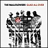 The Wallflowers - 'Glad All Over'